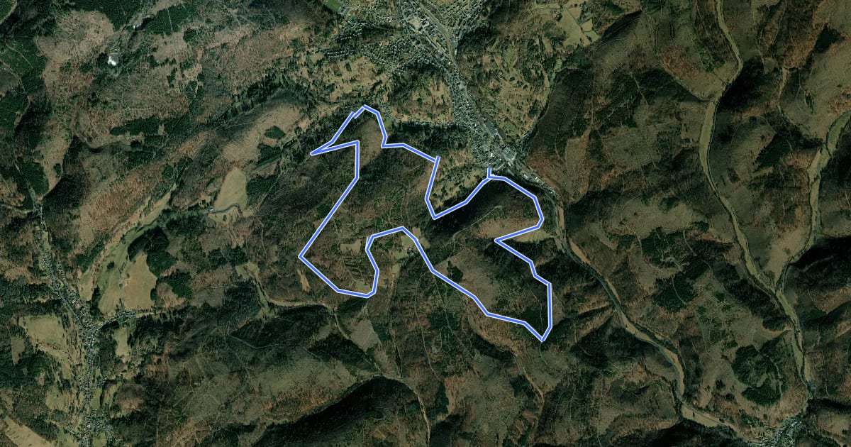 Маршрут Rundwanderweg Nr. 2 um Steinach / Thüringen на спутниковом снимке