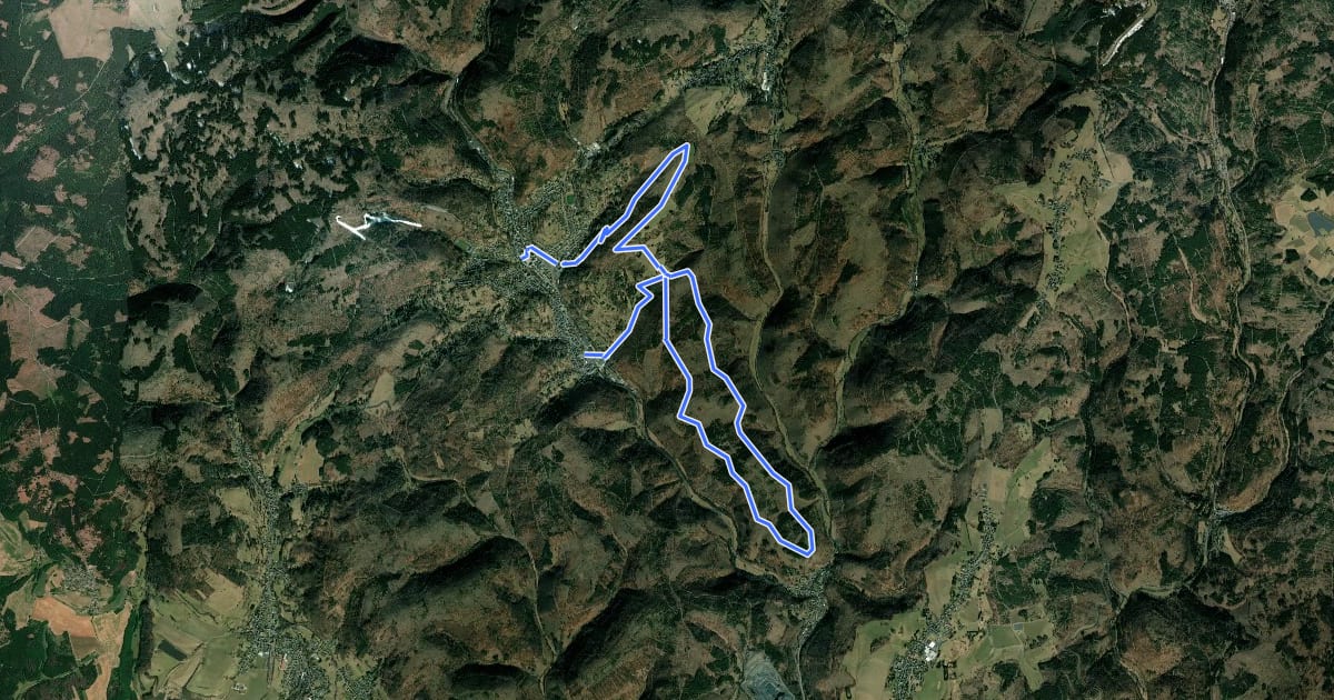 Маршрут Rundwanderweg Nr. 4 um Steinach / Thüringen на спутниковом снимке