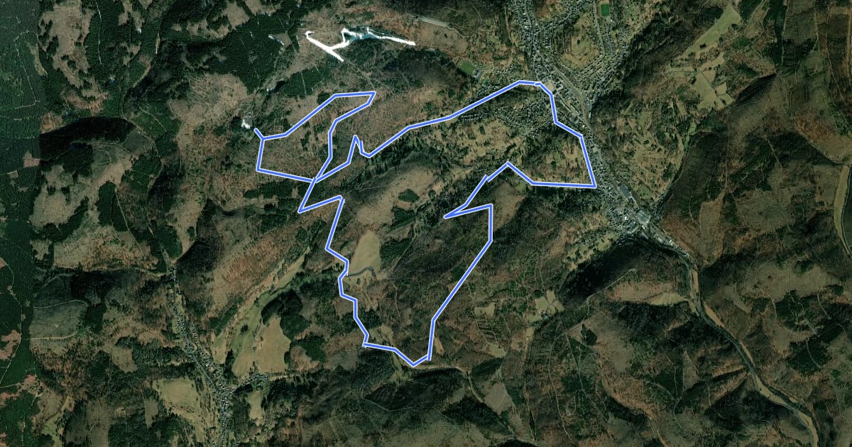 Маршрут Rundwanderweg Nr. 5 um Steinach / Thüringen на спутниковом снимке