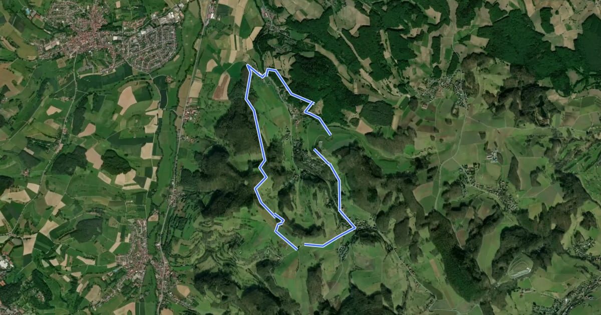 Маршрут Rundwanderweg Ober-Kainsbach 2: Eichberg-Weg на спутниковом снимке
