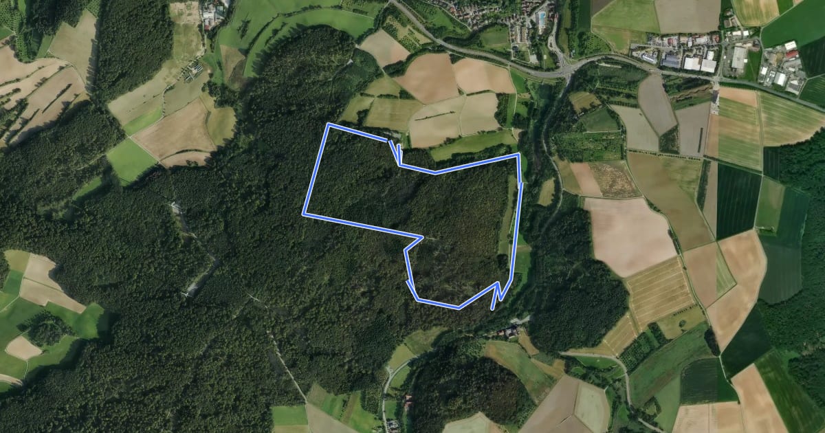 Маршрут Rundwanderweg Ober-Ramstadt Am Heideacker 3: Gingelbach Weg на спутниковом снимке