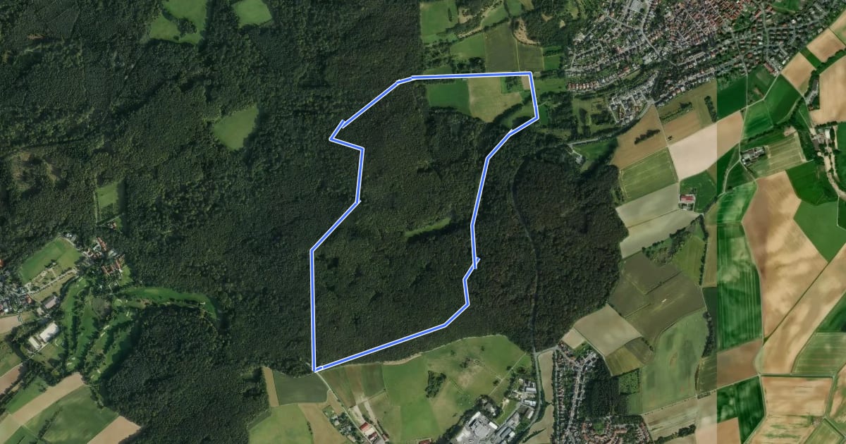 Маршрут Rundwanderweg Ober-Ramstadt Am Kuhfalltor 3: Geisenwald-Weg на спутниковом снимке