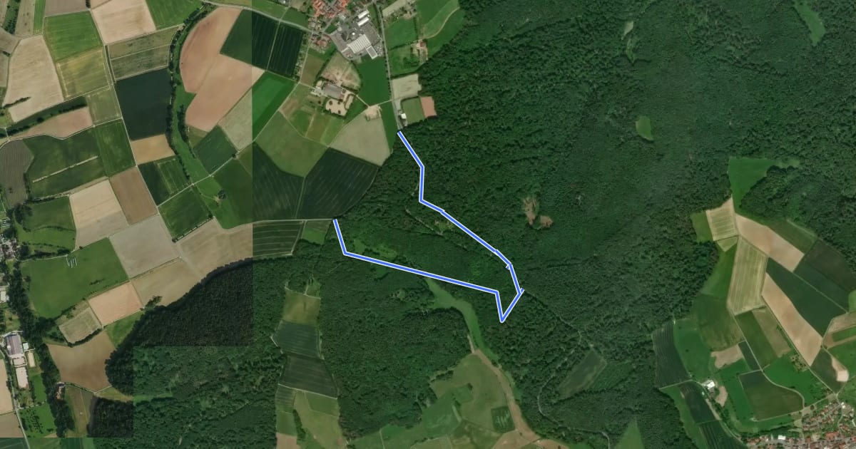 Маршрут Rundwanderweg Ober-Ramstadt Grandes Semailles 1: Bismarckeichenweg на спутниковом снимке