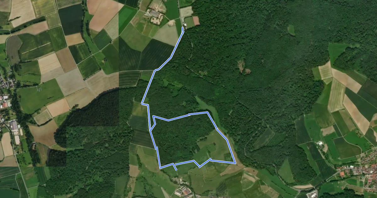 Маршрут Rundwanderweg Ober-Ramstadt Grandes Semailles 2: Weichkopfweg на спутниковом снимке
