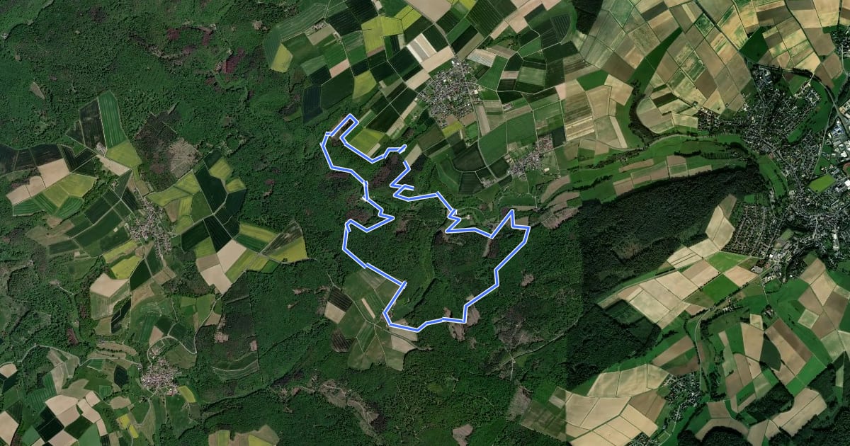 Маршрут Rundwanderweg Oberfischbach 4 на спутниковом снимке