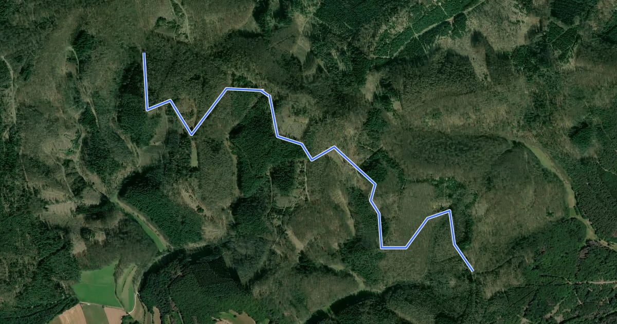Маршрут Rundwanderweg Obergeis O1 на спутниковом снимке