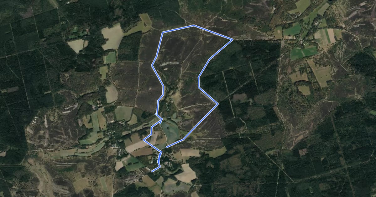Маршрут Rundwanderweg Oberhaverbeck O3 на спутниковом снимке