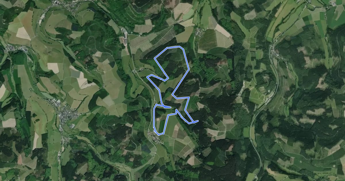 Маршрут Rundwanderweg Oberrarbach 3 на спутниковом снимке