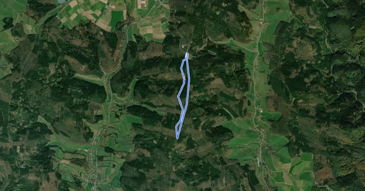 Маршрут Rundwanderweg Oberzent Sensbacher Höhe 3: Gickelsberg-Weg на спутниковом снимке