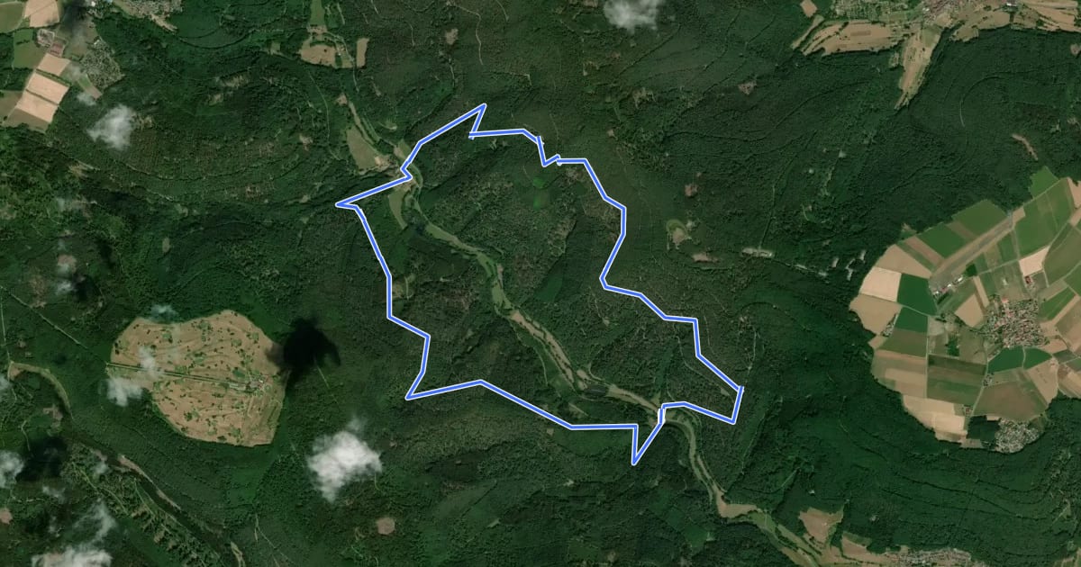 Маршрут Rundwanderweg Ohrenbachtal 1 на спутниковом снимке