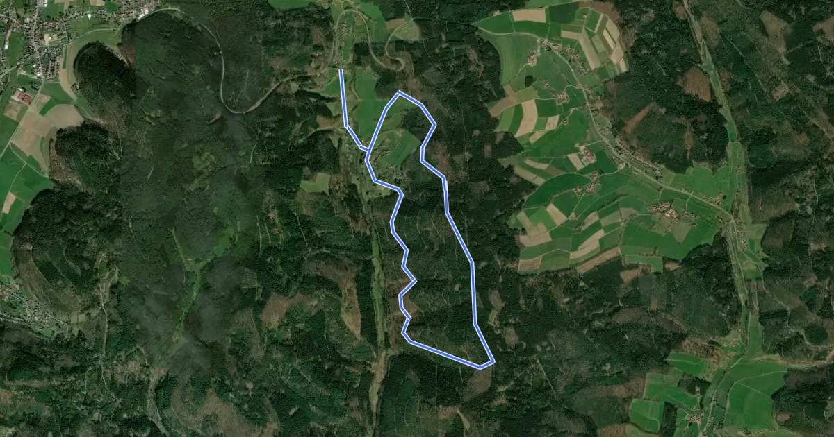Маршрут Rundwanderweg Olfen 2: Wolfsdellen-Weg на спутниковом снимке