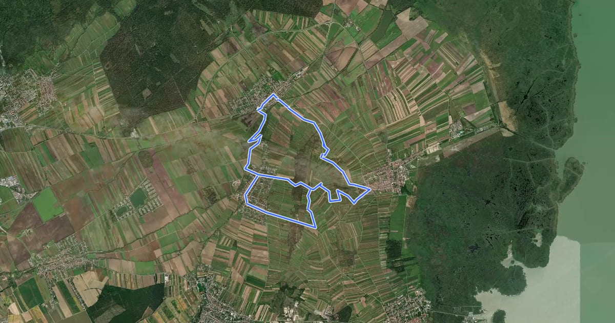 Маршрут Rundwanderweg Oslip - Schützen - Oggau на спутниковом снимке