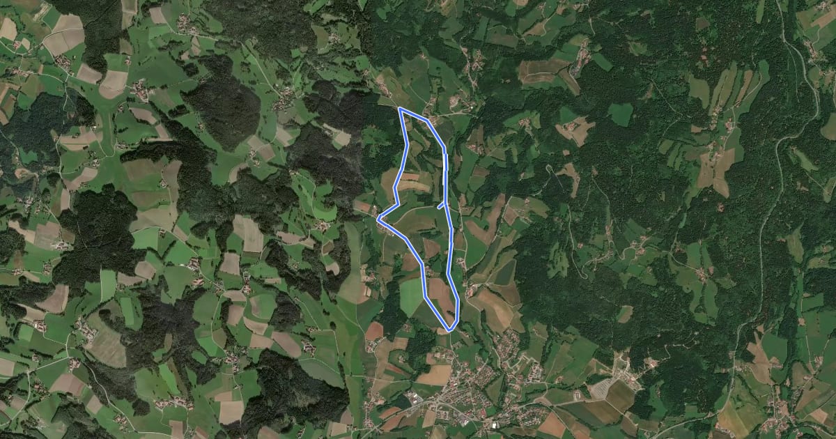 Маршрут Rundwanderweg Pürgl на спутниковом снимке
