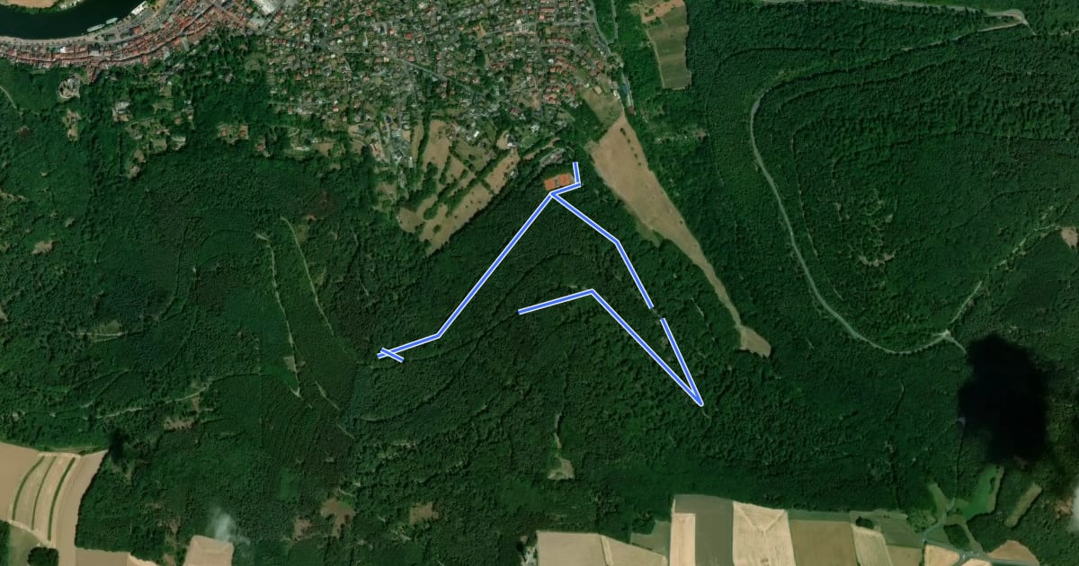 Маршрут Rundwanderweg Parkplatz am Schützenhaus Nr.3 : Königs-Weg на спутниковом снимке