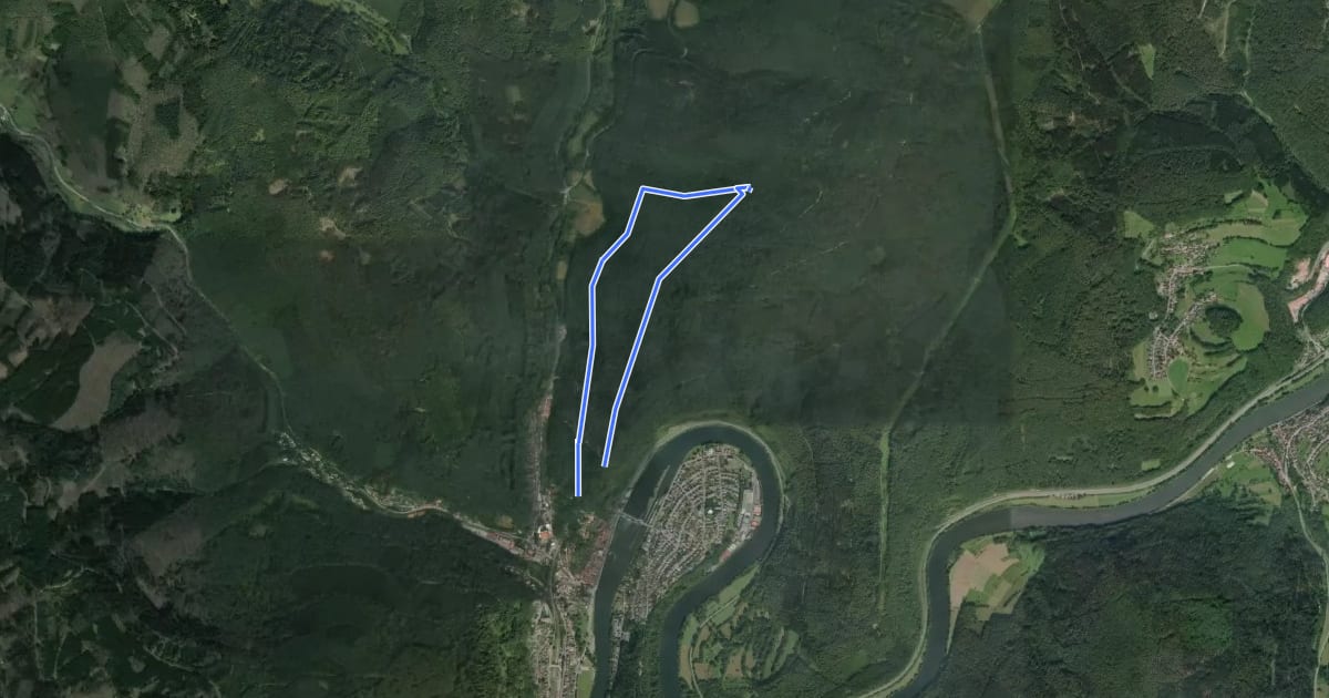 Маршрут Rundwanderweg Parkplatz Schloss Hirschhorn 7: Zur Brunnenstube на спутниковом снимке