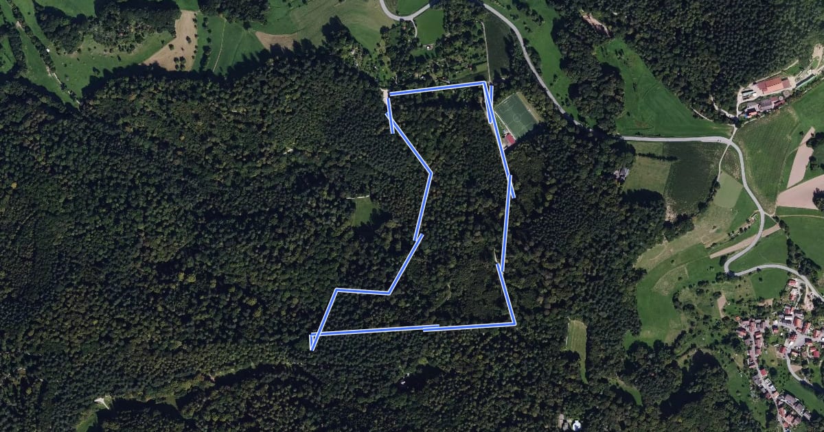 Маршрут Rundwanderweg Röckelsberg 1 на спутниковом снимке