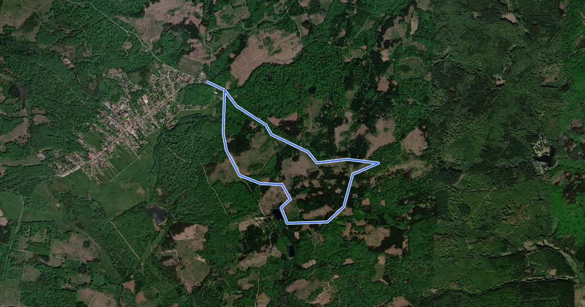 Маршрут Rundwanderweg R5 "Ramberg Höhenweg" на спутниковом снимке