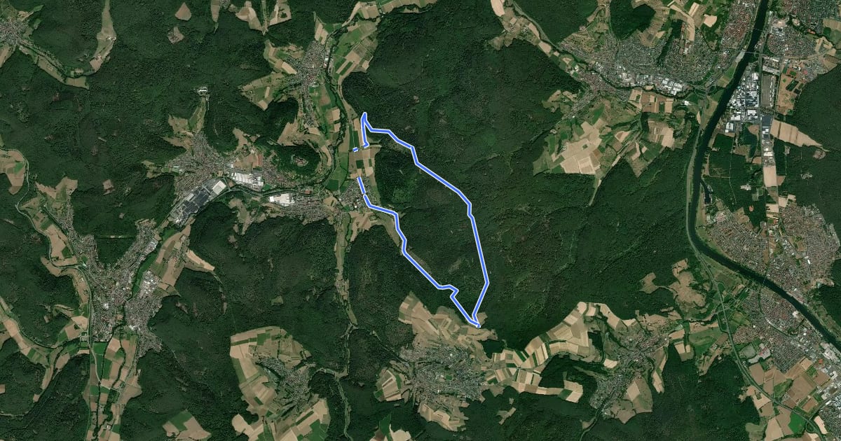 Маршрут Rundwanderweg Rai-Breitenbach 1 : Pitschgrund-Weg на спутниковом снимке