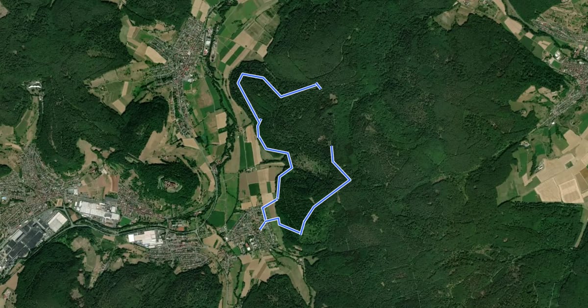 Маршрут Rundwanderweg Rai-Breitenbach 2 : Seestutzweg на спутниковом снимке
