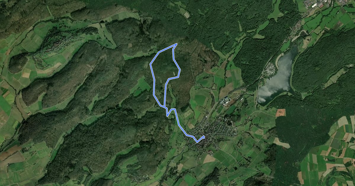 Маршрут Rundwanderweg Rainrod R2 на спутниковом снимке