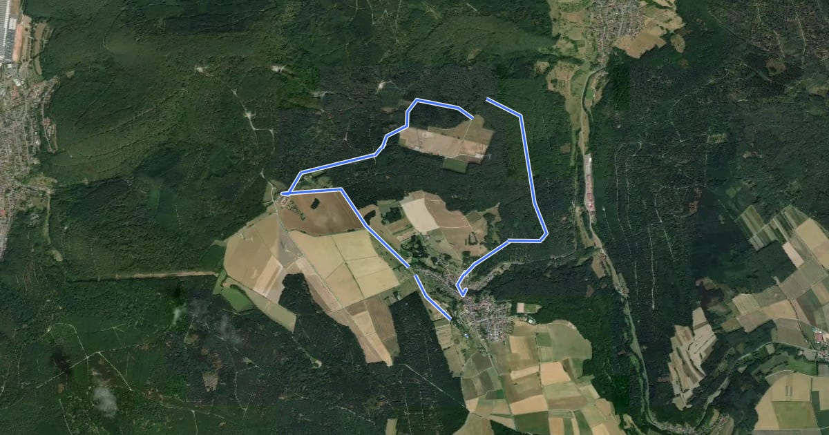 Маршрут Rundwanderweg Rauenberg, Ra1, Birkwiesen-Weg на спутниковом снимке