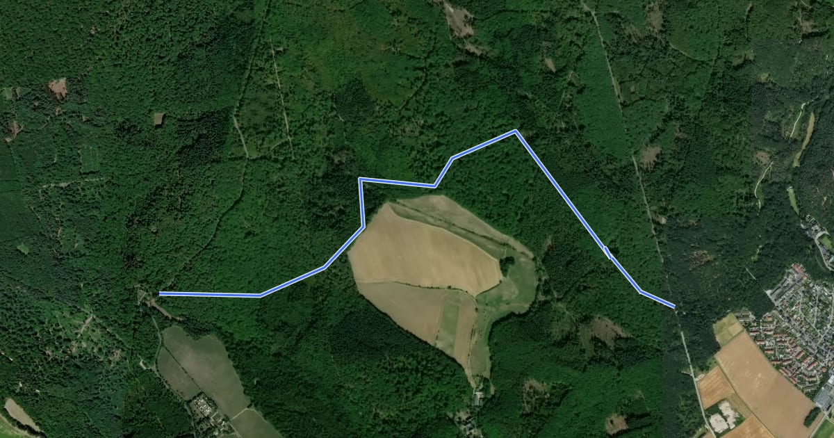 Маршрут Rundwanderweg Reh на спутниковом снимке