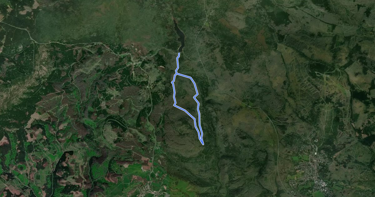 Маршрут Rundwanderweg Rehberg на спутниковом снимке