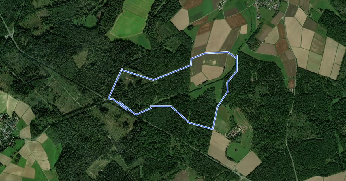 Маршрут Rundwanderweg Rehkopf на спутниковом снимке