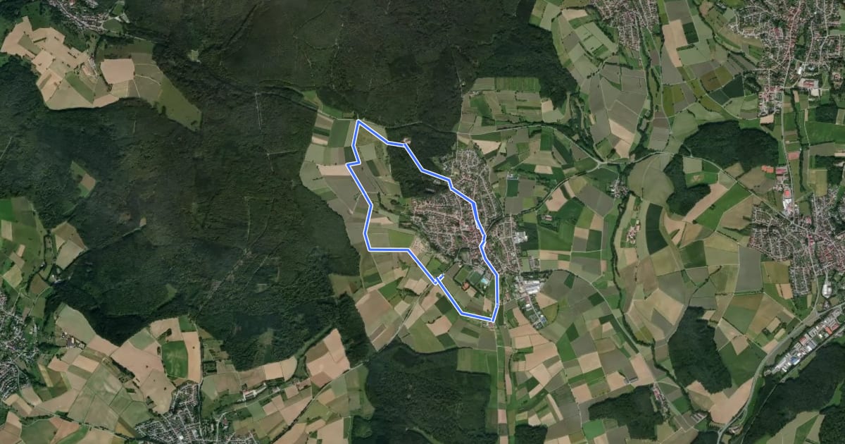 Маршрут Rundwanderweg Reichartshausen 1: Lindenberg-Weg на спутниковом снимке