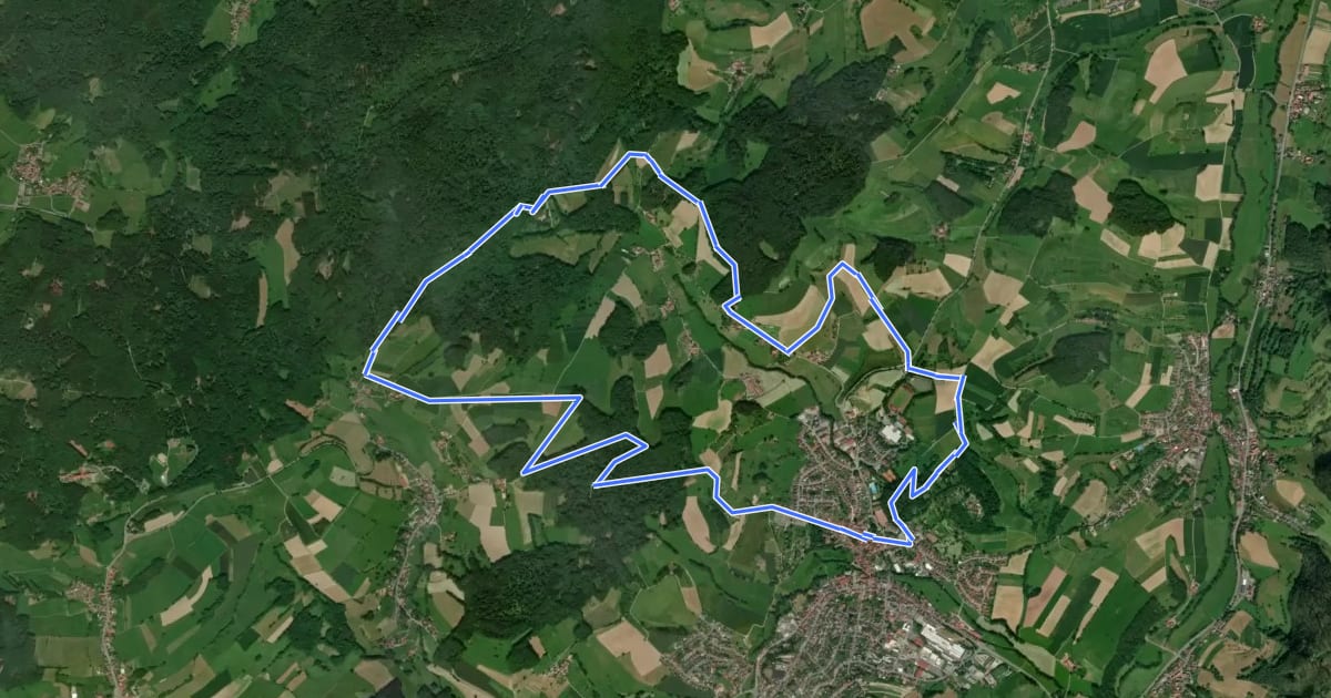 Маршрут Rundwanderweg Reichelsheim 1: Sagenweg Wildweibchenstein на спутниковом снимке