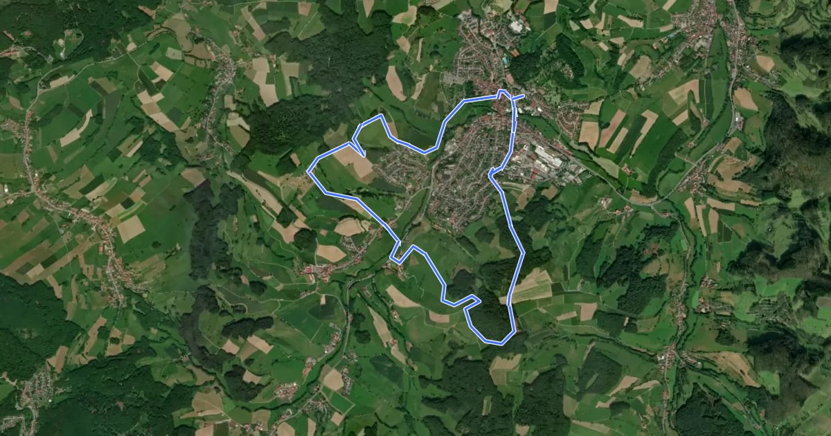 Маршрут Rundwanderweg Reichelsheim 5 на спутниковом снимке