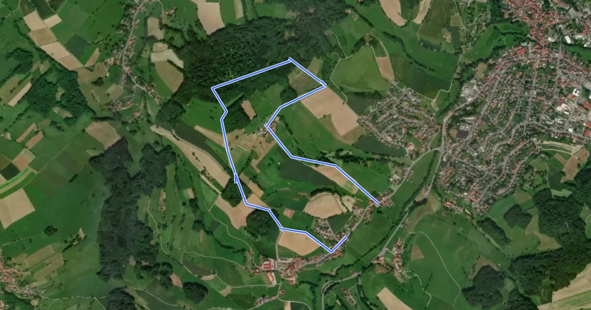Маршрут Rundwanderweg Reichelsheim Am Pechofen 3: Buchwaldweg на спутниковом снимке