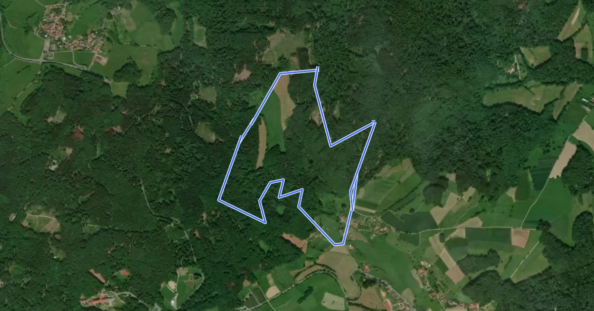 Маршрут Rundwanderweg Reichelsheim Freiheit 5: Germannshöhen-Weg на спутниковом снимке