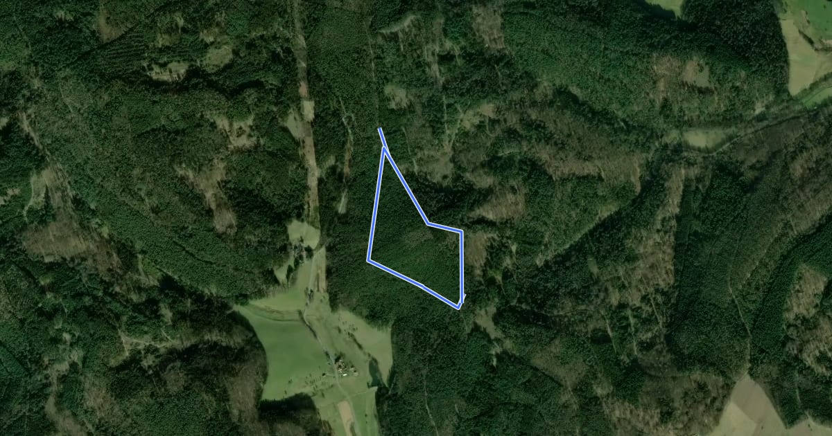 Маршрут Rundwanderweg Reichelsheim Fuchshütte 1: Hoher-Zorn-Weg на спутниковом снимке