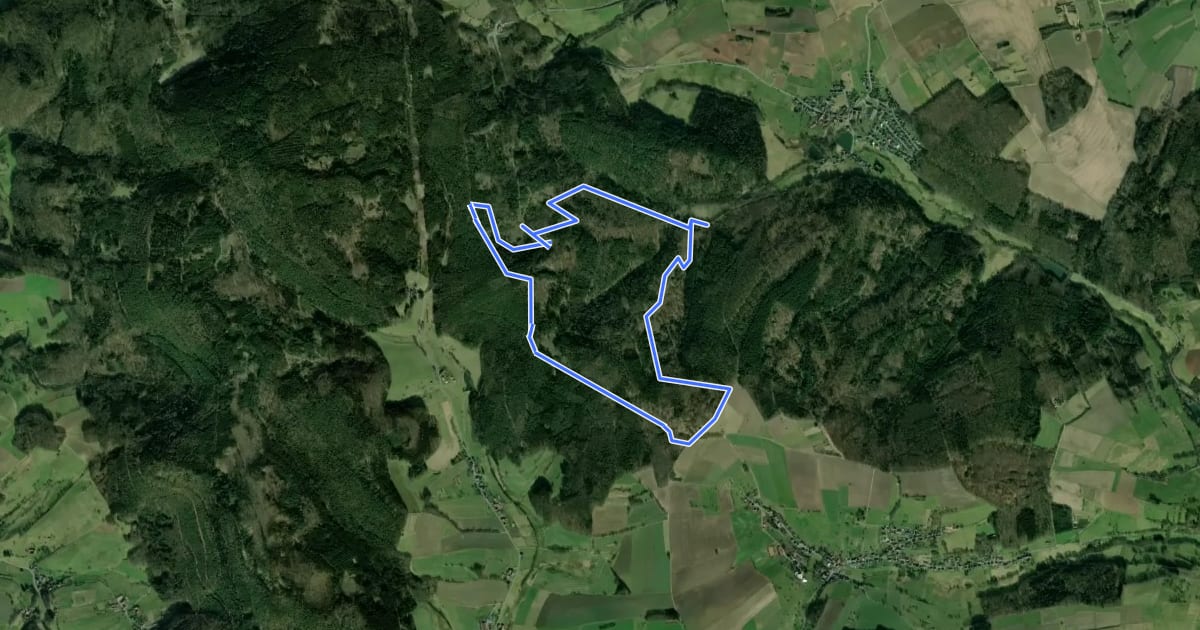 Маршрут Rundwanderweg Reichelsheim Fuchshütte 2: Hoher-Zorn-Weg на спутниковом снимке