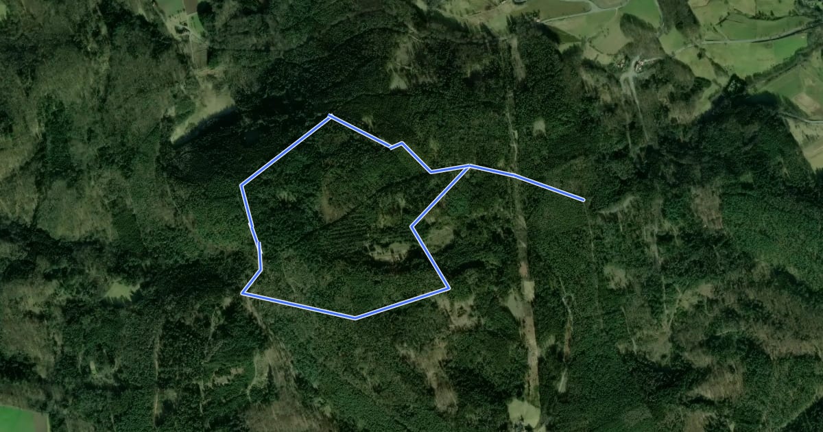 Маршрут Rundwanderweg Reichelsheim Fuchshütte 3: Fuchshütten-Weg на спутниковом снимке