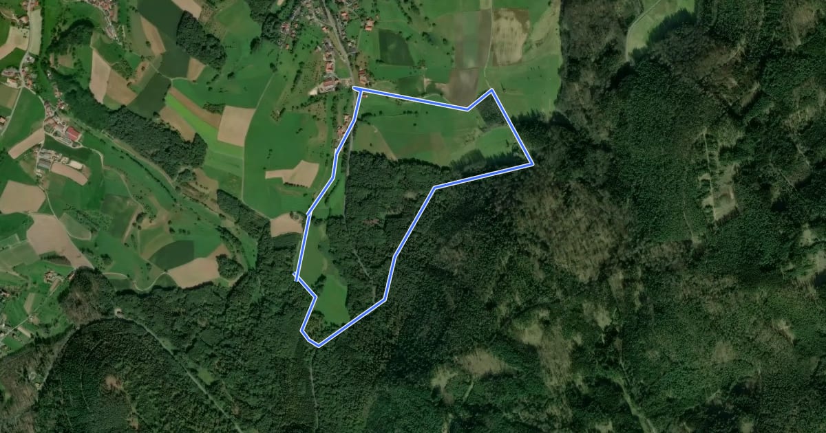 Маршрут Rundwanderweg Reichelsheim Gebranntes Brünnchen 2: Roter-Kandel-Weg на спутниковом снимке