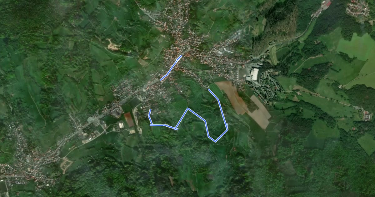 Маршрут Rundwanderweg Reichenbach 1: Hahnenbusch-Weg на спутниковом снимке