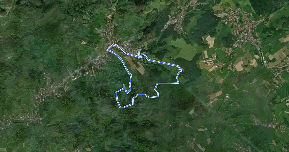 Маршрут Rundwanderweg Reichenbach 2: Höll-Berg-Weg на спутниковом снимке