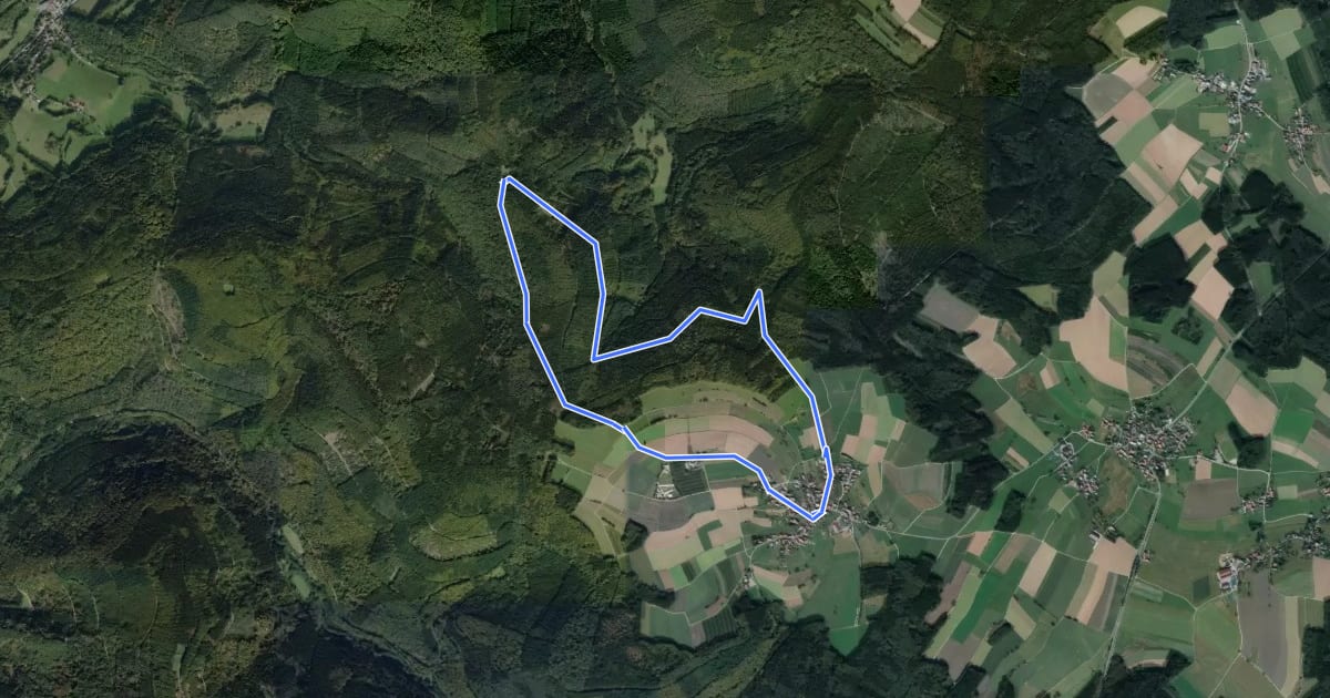 Маршрут Rundwanderweg Reisenbach 2 на спутниковом снимке