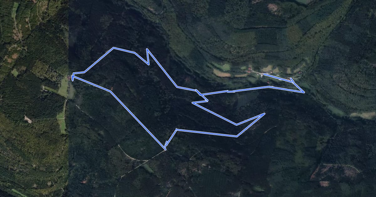 Маршрут Rundwanderweg Reisenbacher Grund 2 на спутниковом снимке