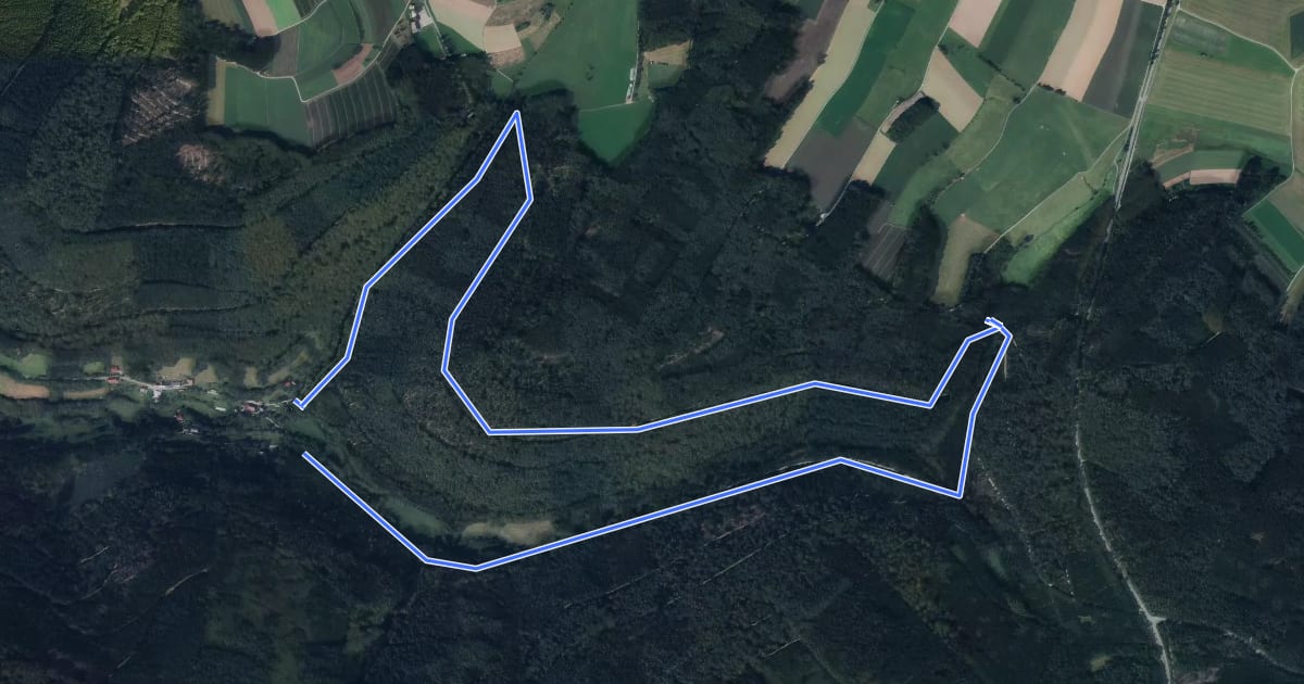 Маршрут Rundwanderweg Reisenbacher Grund 3 на спутниковом снимке