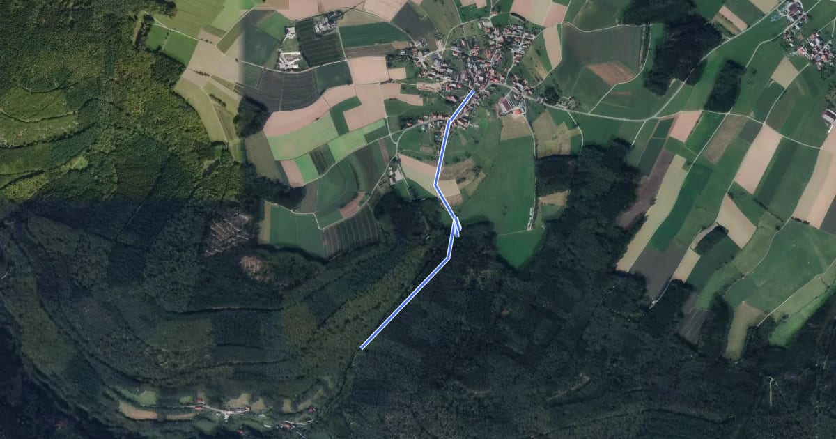 Маршрут Rundwanderweg Reisenbacher Grund 4 на спутниковом снимке