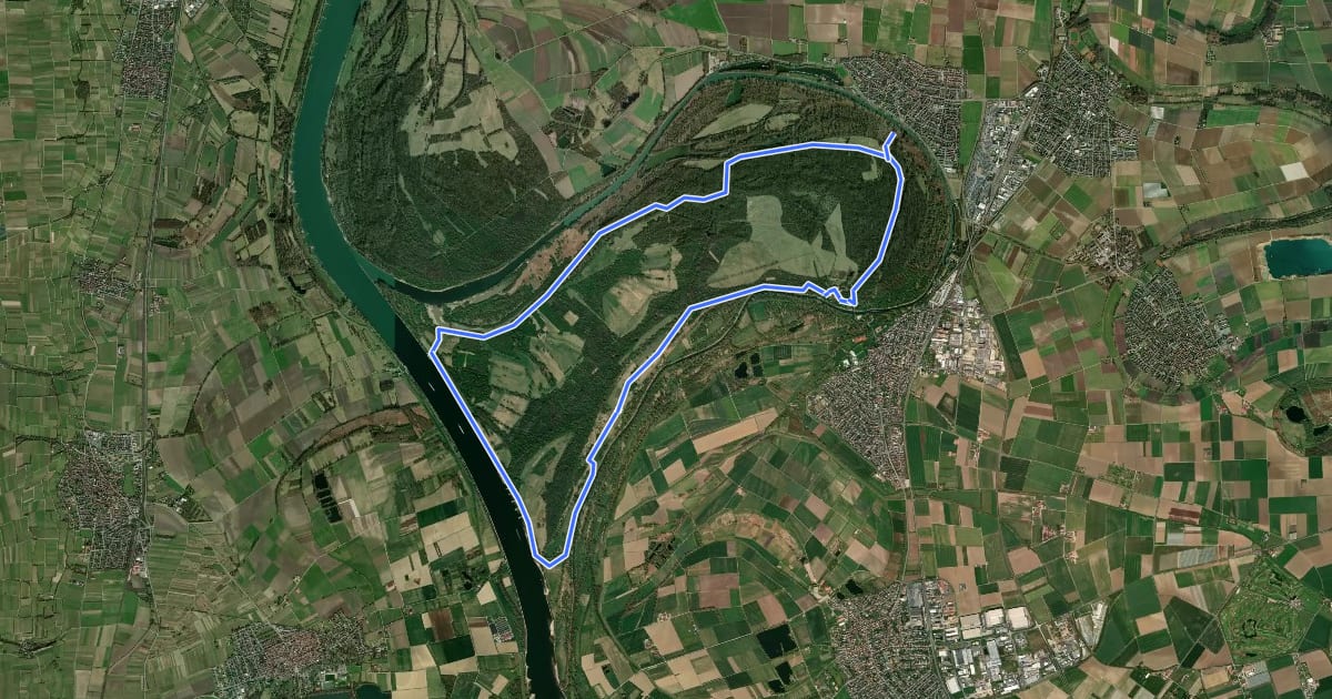 Маршрут Rundwanderweg Riedstadt Erfelder Fußgängerbrücke 3: Haubentaucherweg на спутниковом снимке