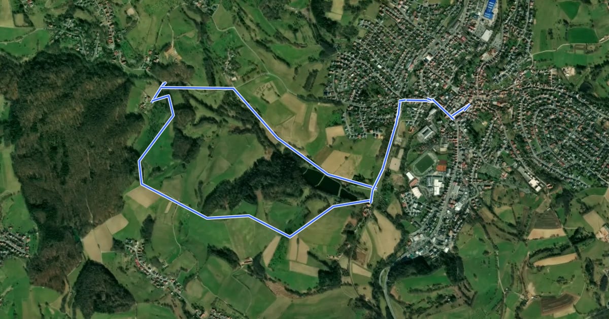 Маршрут Rundwanderweg Rimbach 1: Hoppershof-Weg на спутниковом снимке