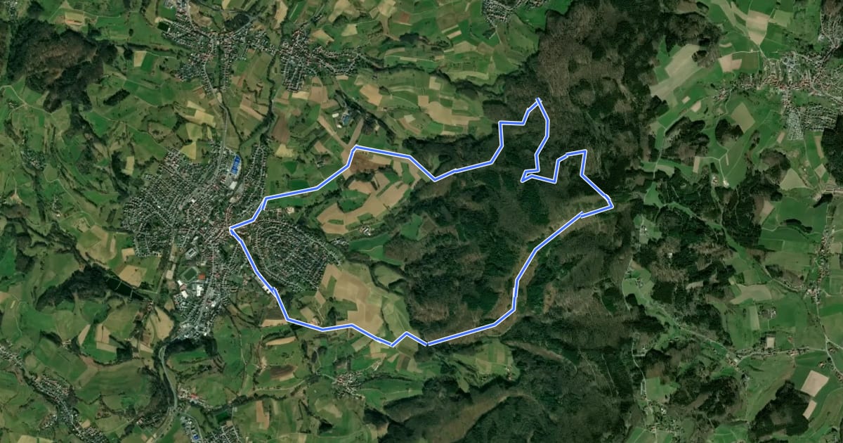 Маршрут Rundwanderweg Rimbach 3: Hochwald-Weg на спутниковом снимке