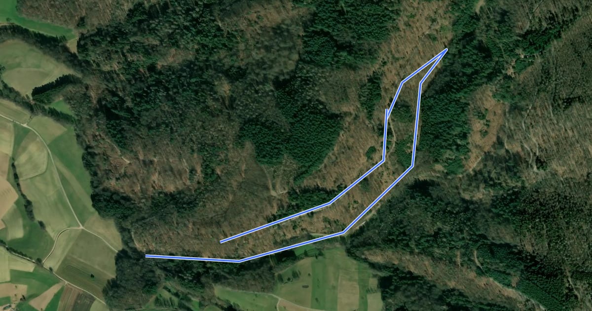 Маршрут Rundwanderweg Rimbach An der Tränke 3: Talweg mit Naturlehrpfad на спутниковом снимке