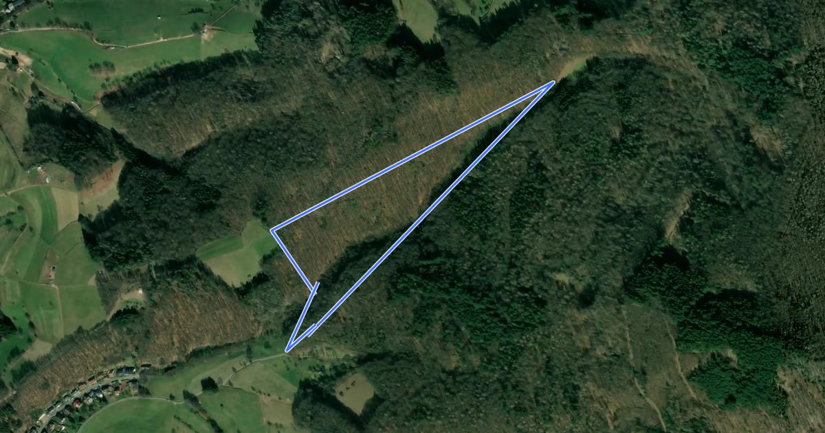 Маршрут Rundwanderweg Rimbach Im Kreuz 6: Kreuzwiesen-Weg на спутниковом снимке