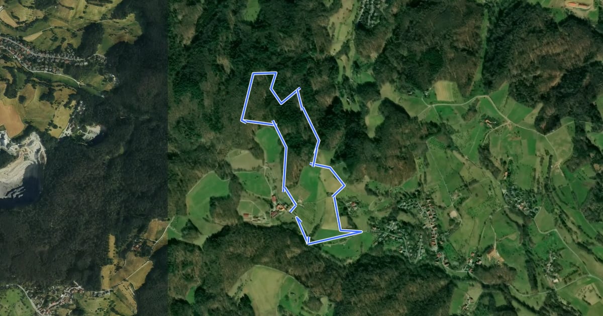Маршрут Rundwanderweg Rimbach Kreiswald 10: Bügeleisenweg на спутниковом снимке