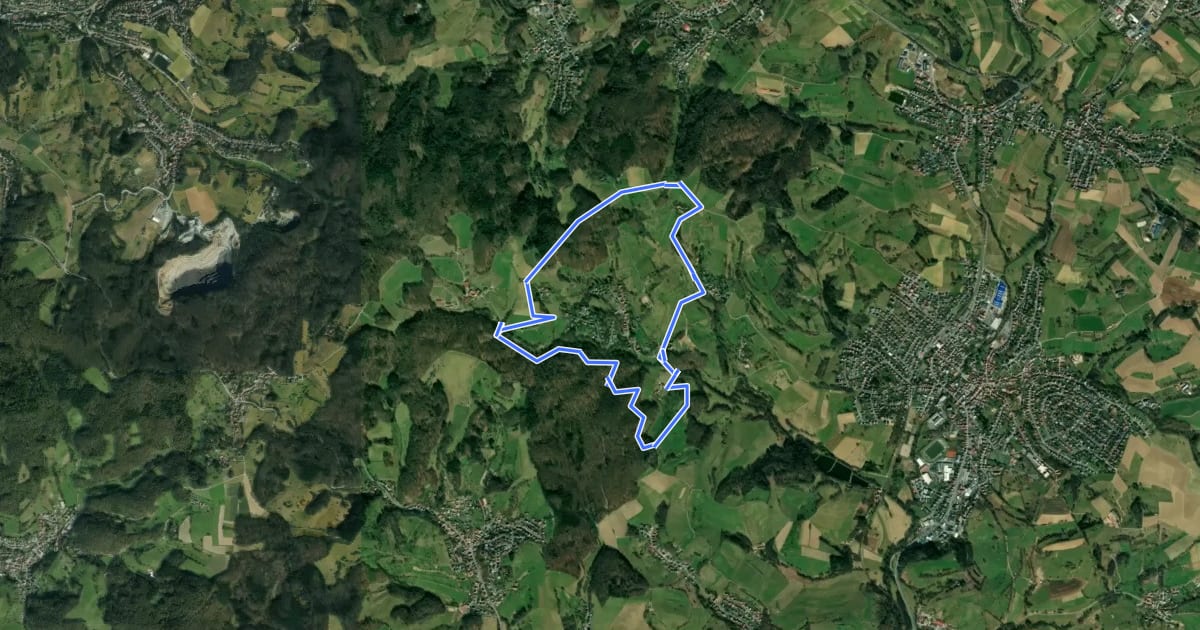 Маршрут Rundwanderweg Rimbach Kreiswald 11: Büchertshüttenweg на спутниковом снимке